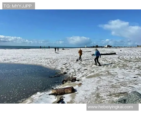 罗马罕见雪灾，古城居民如何智慧应对严寒？